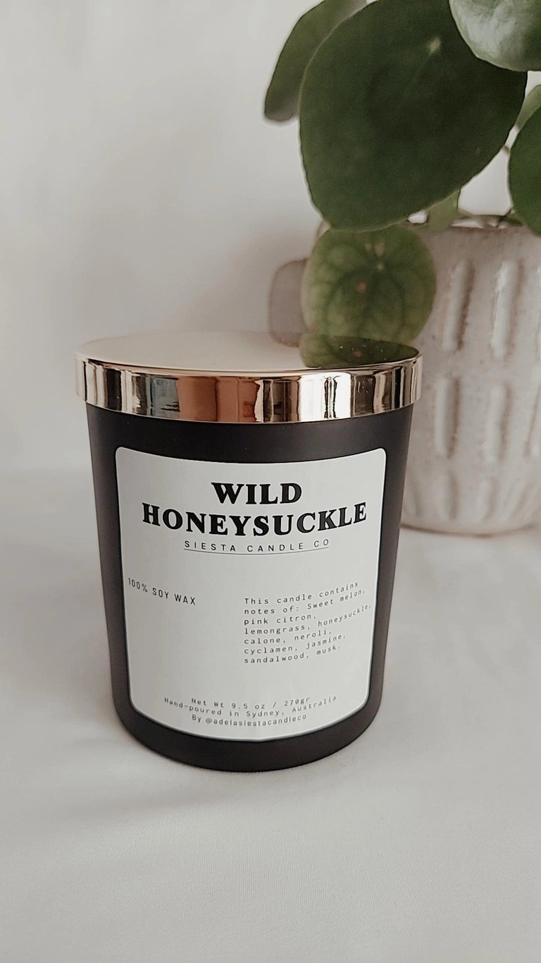 WILD HONEYSUCKLE Image 2