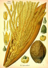 Lanolin-Rich Knitter's Hand Balm