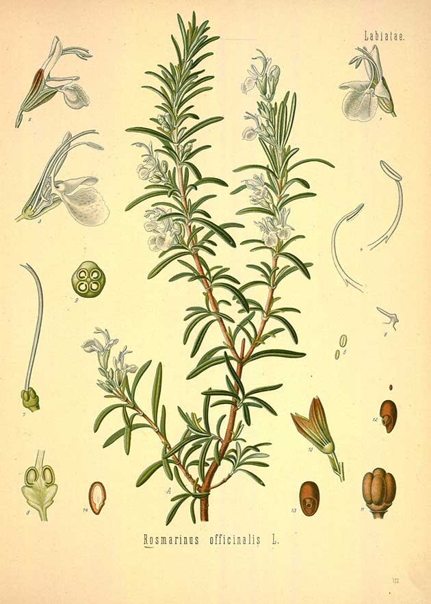 Image of Refresh 