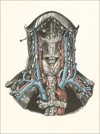 Image 1 of Cutaway view of Neck Anatomy Postcard