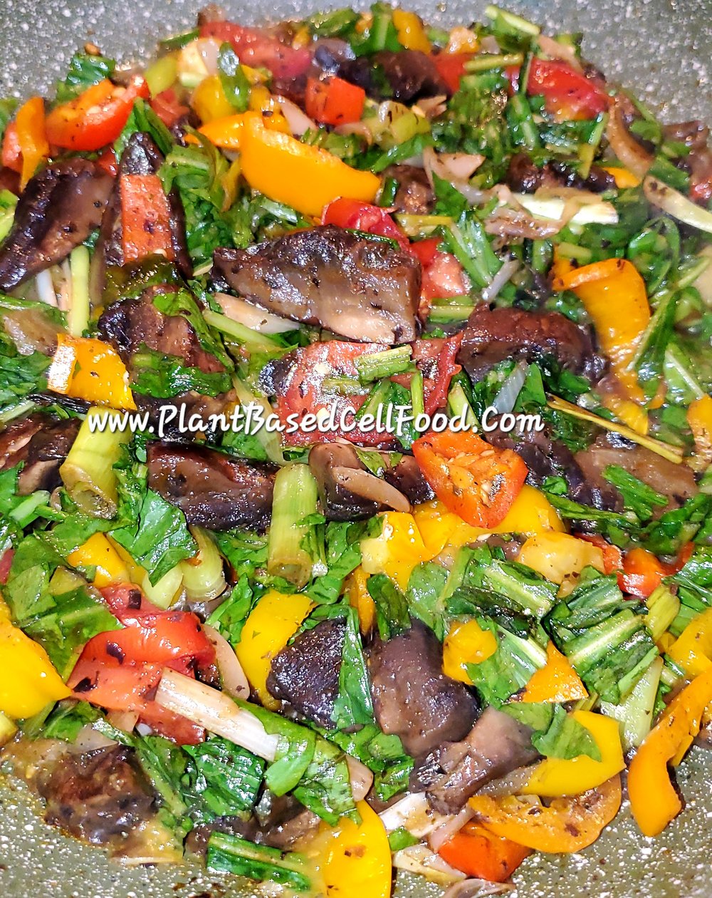 Spiced & Seasoned! NO Curry Curry or All-Purpose Seasoning Blend & Dry Rub Seasonings