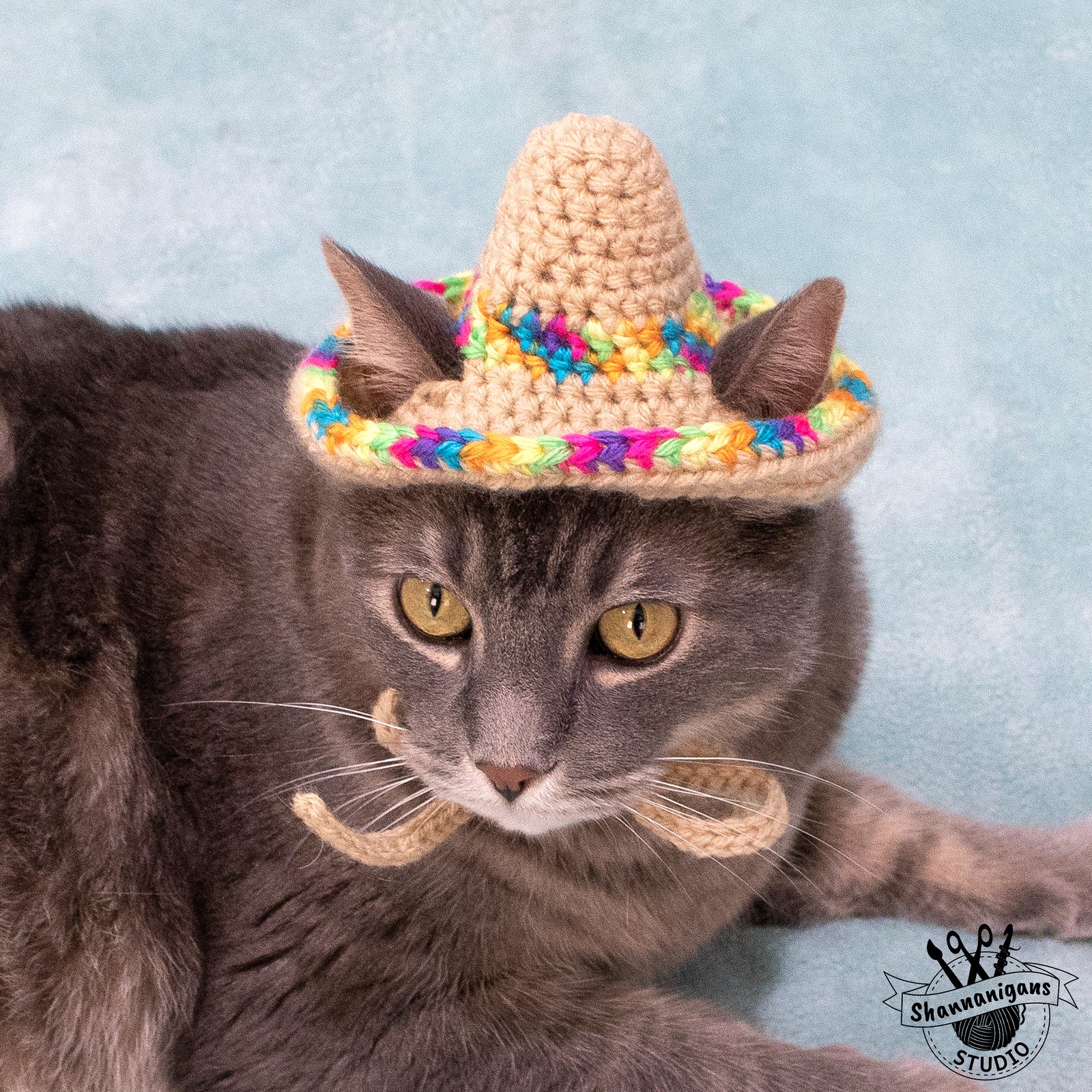 kitty sombrero