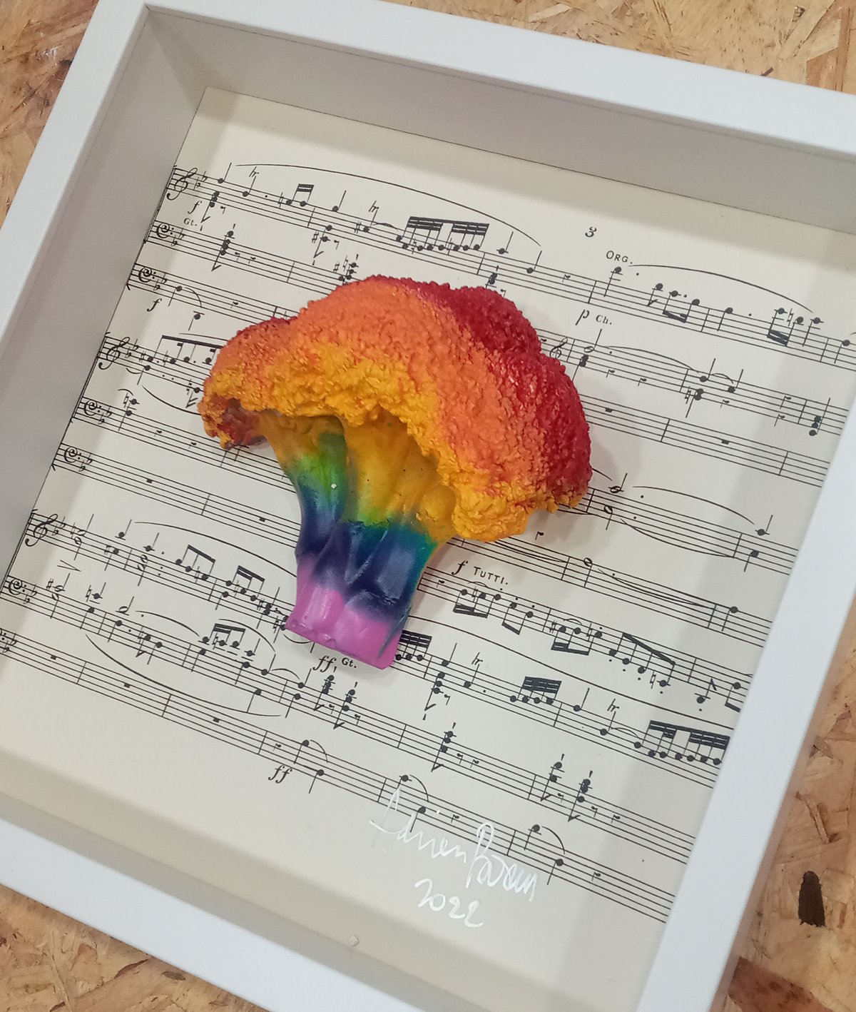 Image of RAINBOW V