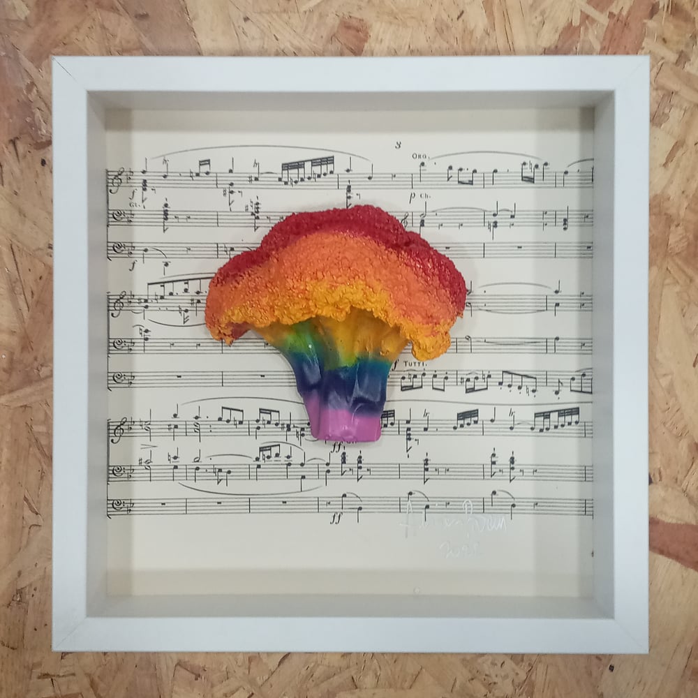 Image of RAINBOW V