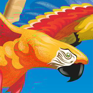 Image of 'Tropical Flight' Open Edition Print