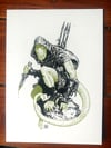 Lizard Assassin 5x7 Print