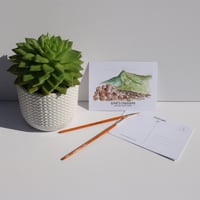 Image 3 of North Coast Postcards