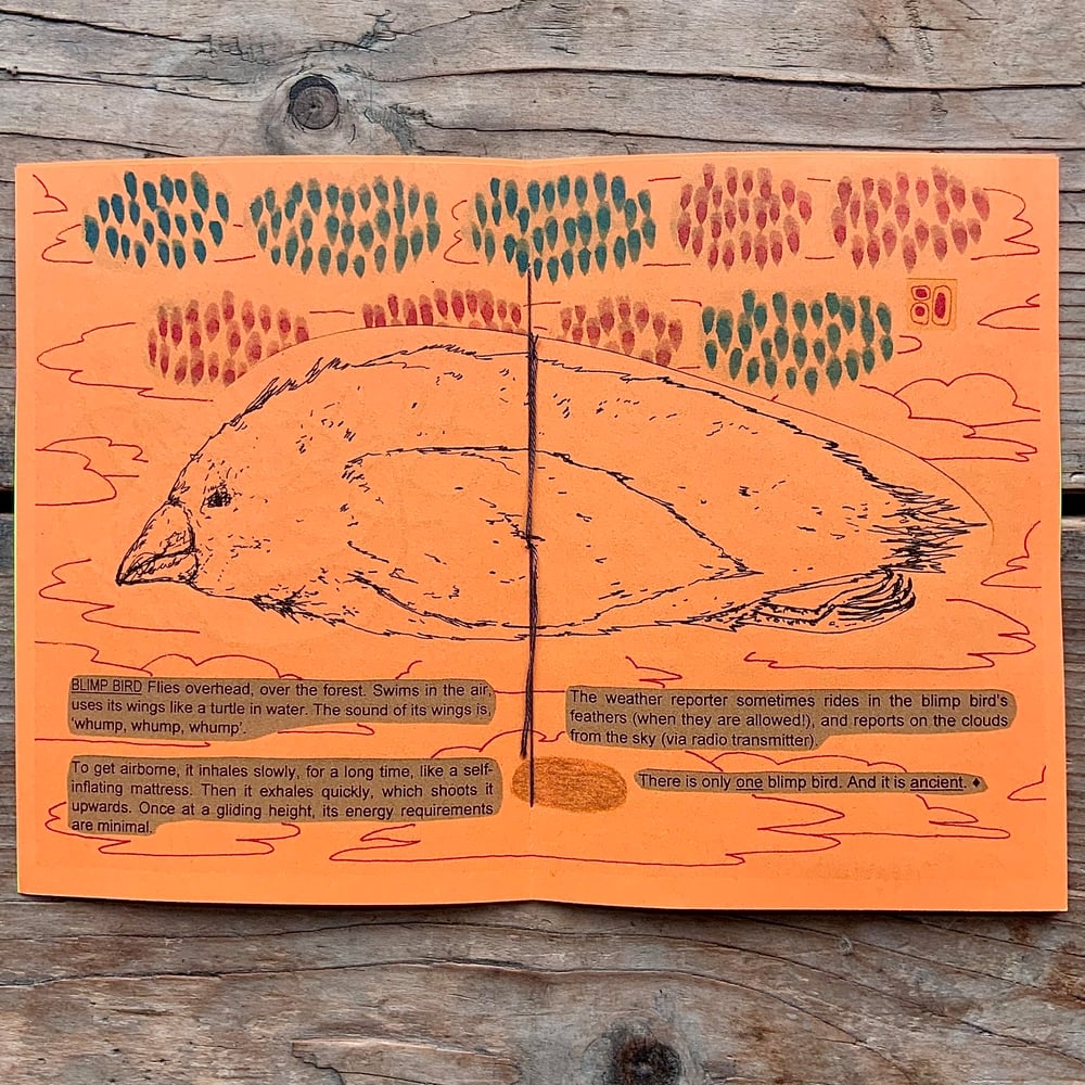 Thief Zine #9 by Ellen Viola