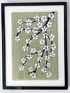 White blossom on sage 