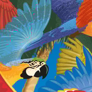 Image of 'Tropical Flight' Open Edition Print