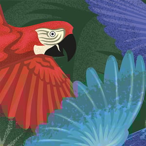 Image of 'Tropical Flight' Open Edition Print