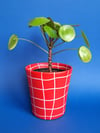 Plant pot 'rot kariert'