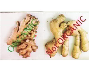 Image of Organic Ginger Root, Whole (Fresh)
