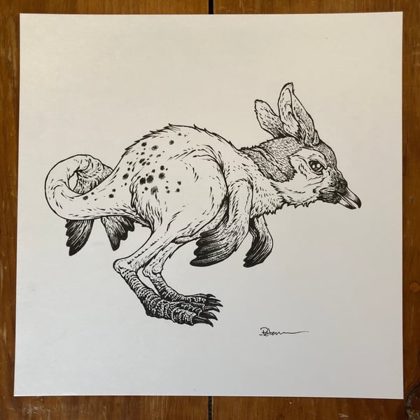 Image of Flightless Sea Roo
