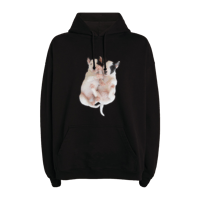 Image 1 of Bull Terrier Hoodie