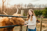 Image 3 of Highland Cow Mini Sessions, June 18th