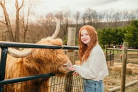 Image 4 of Highland Cow Mini Sessions, June 18th
