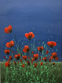 Image 1 of 'Poppy Fields'