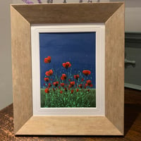 Image 4 of 'Poppy Fields'