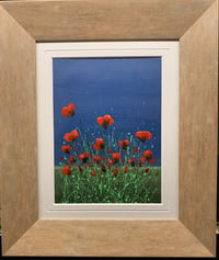 Image 3 of 'Poppy Fields'