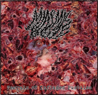 MIASMIC OOZE  “Terrain Of Inflamed Pustules” CD