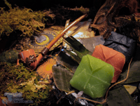 Leaf Wrap Pure Castile Soaps - Organic, Moisturising & Nutrient-Rich 