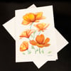 California Poppies, 5-Pack Greeting Card Set