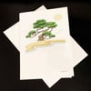 Bonsai Tree, 5-Pack Greeting Card Set