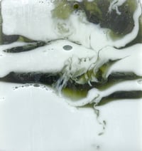 Chlorophyll Detox Bar