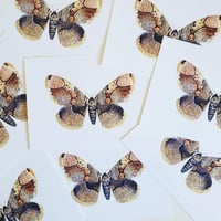 Image 5 of Brahmaea Moth  Watercolor Illustration, PRINT 