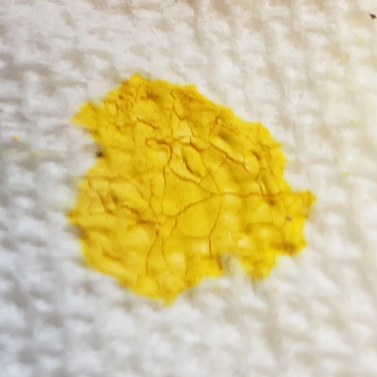 Canary Yellow Powder Pigment 