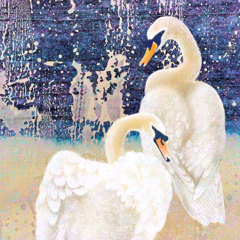 Image of Confetti Swans