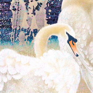 Image of Confetti Swans