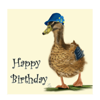Happy Birthday - Mallard Duck - Greetings Card