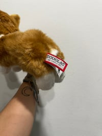 Image 7 of Douglas Dog set