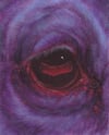 angel (4x5, 8x10, 11x14 inches) fine art print