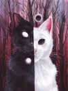 splitket (4x5, 8x10, 11x14, or 13x16 inches) fine art print