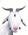pentagoat (4x5, 8x10, 11x14 inches) fine art print