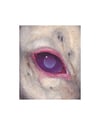 milksight (4x5, 8x10 inches) fine art print