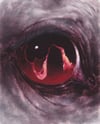 ahorsestillsees (4x5, 8x10, 11x14 inches) fine art print