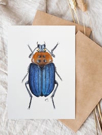 Image 5 of Carrion beetle watercolor illustration PRINT 