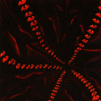 Image 1 of INFRA “ Initiation on the Ordeals of Lower Vibrations”  7”