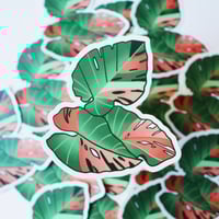 Image 1 of Three Leaf Sticker
