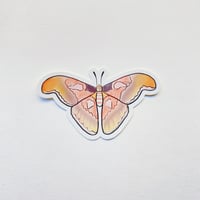 Image 2 of Moth Sticker