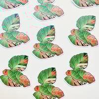 Image 3 of Three Leaf Sticker