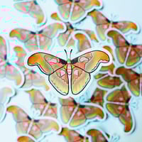 Image 3 of Moth Sticker