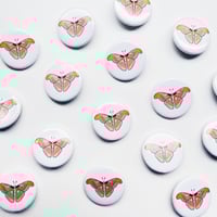 Image 1 of Moth Button Pin