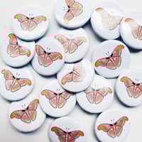 Image 2 of Moth Button Pin