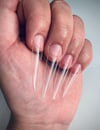 Nail Tips (Stiletto) in bag 