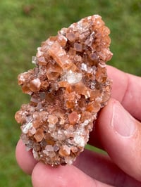 Image 6 of Aragonite Sputnik Specimen #1838